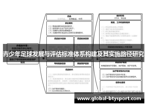 青少年足球发展与评估标准体系构建及其实施路径研究