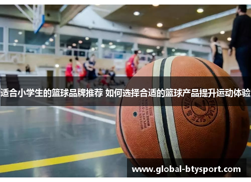 适合小学生的篮球品牌推荐 如何选择合适的篮球产品提升运动体验