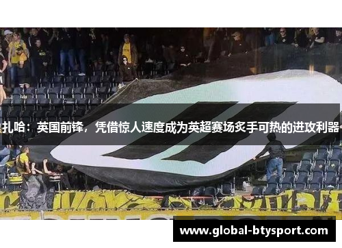 扎哈：英国前锋，凭借惊人速度成为英超赛场炙手可热的进攻利器