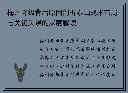 梅州降级背后原因剖析泰山战术布局与关键失误的深度解读 梅州降级背后原因剖析泰山战术布局与关键失误的深度解读